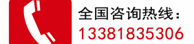???????13381835306